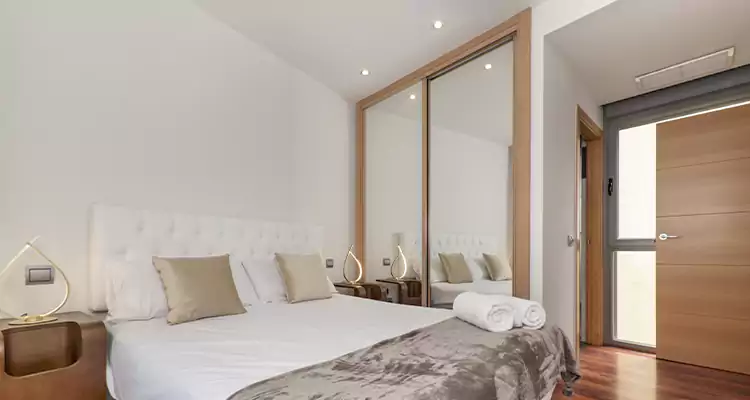 Sliding Wardrobe Door Mirror Replacement in Winter Garden, FL